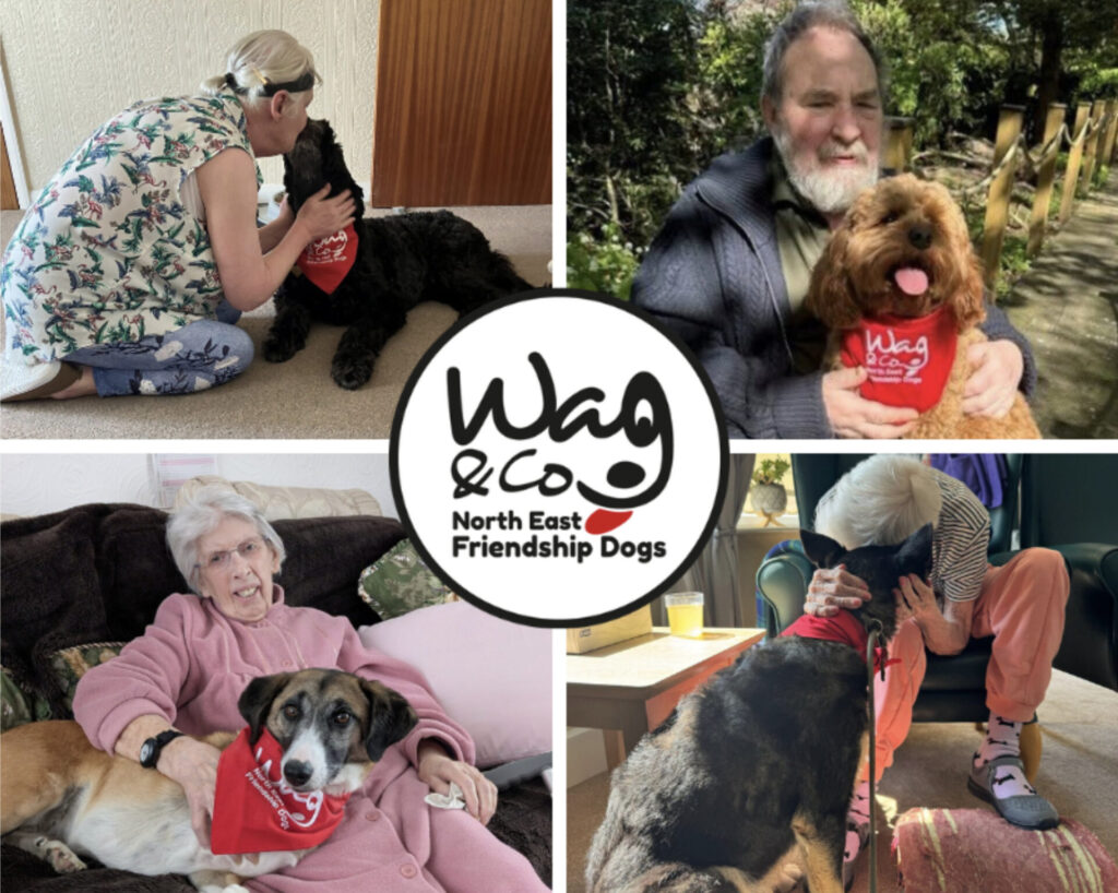 Wag & Co | Ending loneliness for elderly dog lovers
